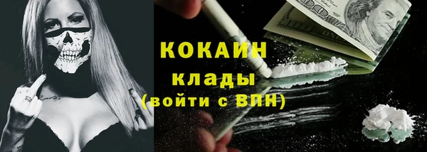 дмт Лиски