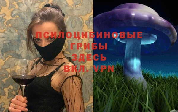 СК Магадан