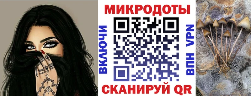 Галлюциногенные грибы мицелий  Нюрба 